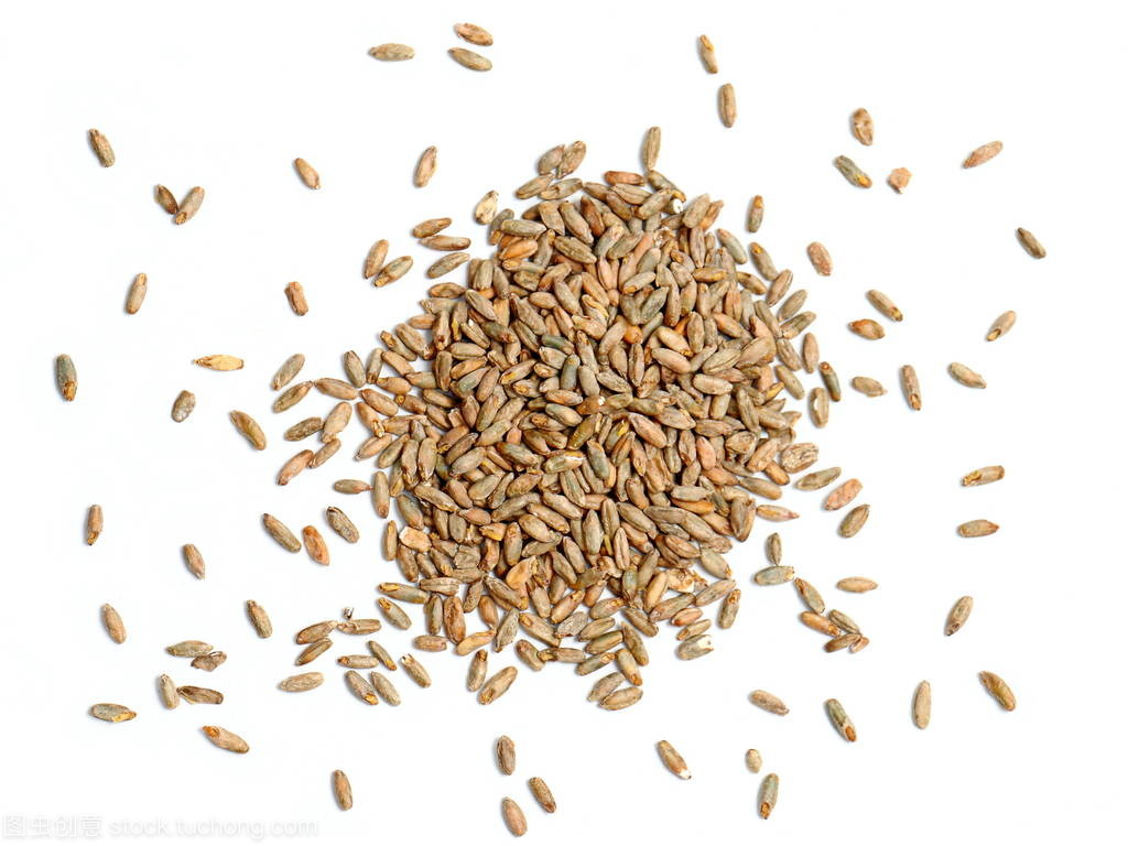 黑麥谷物 白色背景下的營(yíng)養(yǎng)與藝術(shù)